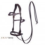 Dandy Sidepull Bitless Bridle & Reins